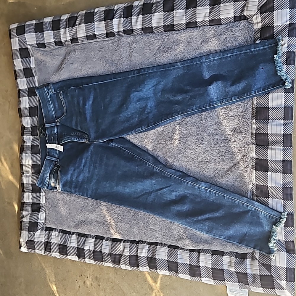 NWT Ann Taylor ankle jeans
